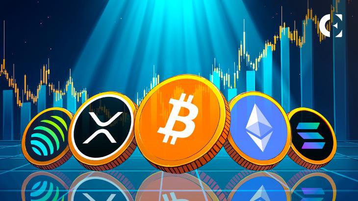 资金稳稳待在比特币里，山寨币轮动行情终结了？