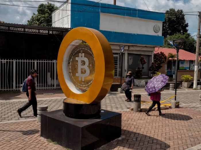 超8%的比特币被政府和机构持有：财富新宠还是隐患？