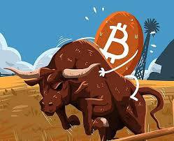 观点：加密牛市即将来临，你准备好了吗？