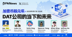 对话5家“币股操盘手”：“囤币厂”DAT公司会成为下一波牛市发动机吗？