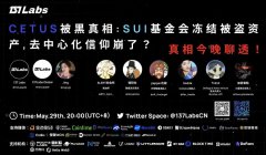 Cetus被黑真相：SUI基金会冻结被盗资产，去中心化信仰崩了？｜137SPS049